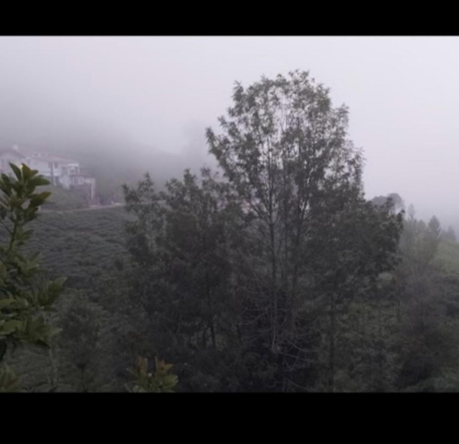 The Valley Villa Kotagiri Exterior foto